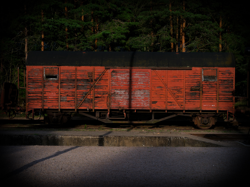 The Irresistible Pull of Cinestill 800H: An Exaggerated Reality